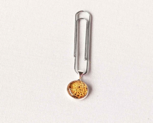 Planer Charm Gepard